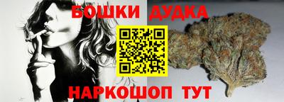 СК Моздок