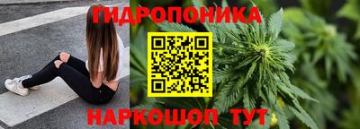 спиды Можга