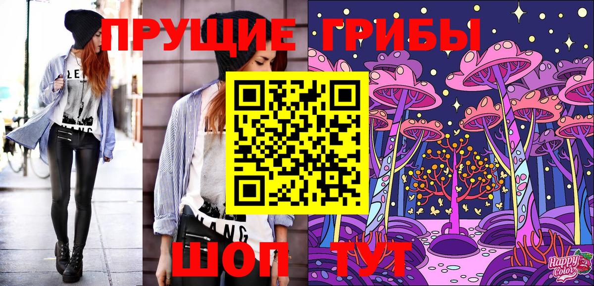 Псилоцибиновые грибы GOLDEN TEACHER Десногорск